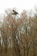 Screenshot_20220413-125557-664.png Screenshot_20220413-125557-664.png