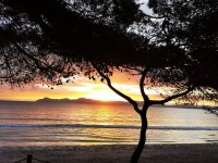 IMG_20211127_075050.jpg IMG_20211127_075050.jpg