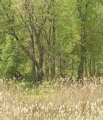 IMG_20220427_135748157.jpg IMG_20220427_135748157.jpg