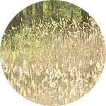 Screenshot_20220427-141008-418.png Screenshot_20220427-141008-418.png