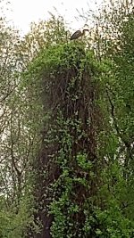 IMG_20220427_141420880.jpg IMG_20220427_141420880.jpg