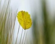 Prüfungszeit (1).jpg Prüfungszeit (1).jpg