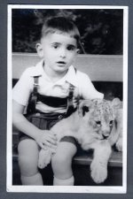 Löwenjunges.jpg Löwenjunges.jpg