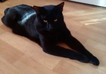 IMG_20210402_124236 (1).jpg IMG_20210402_124236 (1).jpg