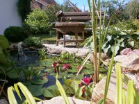 hinterm Haus 003.JPG hinterm Haus 003.JPG