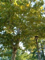 IMG_20220901_082520956_HDR.jpg IMG_20220901_082520956_HDR.jpg