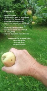 Buch 3 Hautsache.jpg