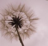 2011_0705Juli0049-22.jpg 2011_0705Juli0049-22.jpg