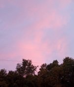 IMG_20220814_061012873~2.jpg IMG_20220814_061012873~2.jpg