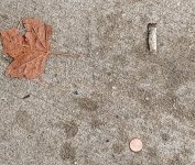 IMG_20221013_095713290~2.jpg IMG_20221013_095713290~2.jpg