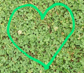 Screenshot_20221024-173710-673.png Screenshot_20221024-173710-673.png