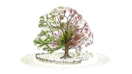 Der alte Baum 16z9.jpg