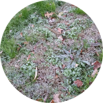 Screenshot_20221121-083544-034.png Screenshot_20221121-083544-034.png