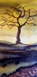 20210102_133223.jpg 20210102_133223.jpg