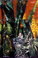 035_Der Schamane_01.jpg