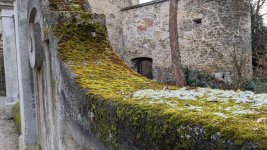 PXL_20230119_090646619.jpg PXL_20230119_090646619.jpg