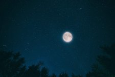 night-2938792.jpg night-2938792.jpg