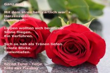 329517038_410846034583389_4811960757584575804_n (1).jpg