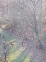 IMG_20230204_161211091~2.jpg IMG_20230204_161211091~2.jpg