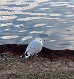 IMG_20230202_073959461~2.jpg IMG_20230202_073959461~2.jpg