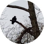 Screenshot_20230219-044636-646.png Screenshot_20230219-044636-646.png