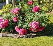 IMG_20230425_091330239~2.jpg IMG_20230425_091330239~2.jpg