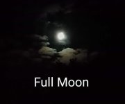 IMG_20230505_030816380~3.jpg IMG_20230505_030816380~3.jpg