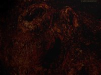 roots_bloody_roots_by_waldeck_d23883x-fullview.jpg roots_bloody_roots_by_waldeck_d23883x-fullview.jpg