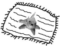 Das Haus ist Schief_001.jpg Das Haus ist Schief_001.jpg