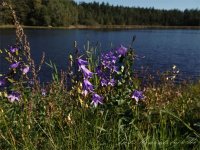 DSC02578.JPG DSC02578.JPG