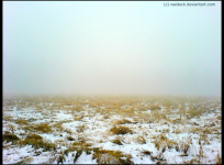 grafik.png grafik.png