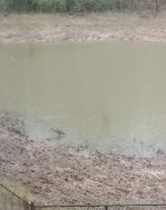 IMG_20231014_173021613~2.jpg IMG_20231014_173021613~2.jpg