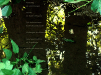 grafik.png grafik.png