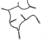 Die Lichterkette.jpg