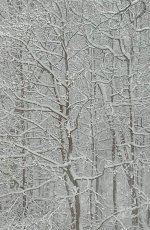 IMG_20240119_143025794~2.jpg IMG_20240119_143025794~2.jpg