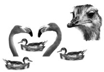 Besuch im Zoo_005.jpg Besuch im Zoo_005.jpg