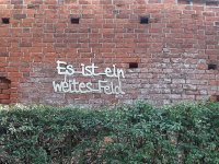 20190923_112652.jpg 20190923_112652.jpg