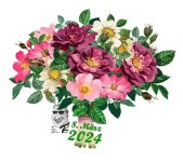 24-03-08_Frauentag _Ego.jpg