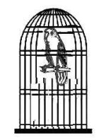 Kreuzfahrt_Schnauzer_03.jpg Kreuzfahrt_Schnauzer_03.jpg