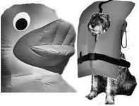 Kreuzfahrt_Seenot_02a.jpg Kreuzfahrt_Seenot_02a.jpg