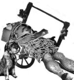 Kreuzfahrt_Rum_001.jpg Kreuzfahrt_Rum_001.jpg