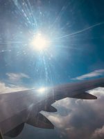 IMG_0818.jpeg IMG_0818.jpeg