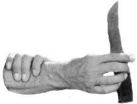 Winnetou_006.jpg Winnetou_006.jpg