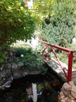 IMG_20180504_141508.jpg IMG_20180504_141508.jpg