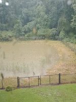 IMG_20240818_170956418.jpg IMG_20240818_170956418.jpg