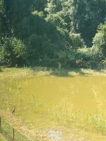 IMG_20240819_113625416~2.jpg IMG_20240819_113625416~2.jpg