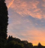 IMG_0776.jpeg IMG_0776.jpeg