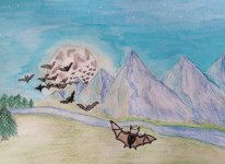 IMG_20241023_093748.jpg IMG_20241023_093748.jpg