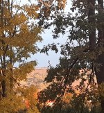 24-10-27_Herbert.jpg 24-10-27_Herbert.jpg