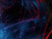 Screenshot_20241103-134551_Chrome.jpg Screenshot_20241103-134551_Chrome.jpg